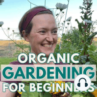 053: An Easy Plan For Planting One Raised Bed (+ Seedling Shopping List)