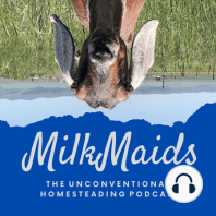 MilkMaids EPISODE 1 let's talk seeds!