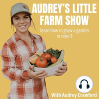 Welcome to the Audrey's Little Farm Show with Audrey Crawford