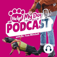 Ep 21: Calmness Training that Fixes Barking, Reactivity, Jumping Up, Not Settling & So Much More!