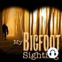 The Sasquatch I Saw Had a Broken Jaw - My Bigfoot Sighting Episode 128