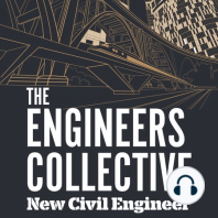 Francis Scott Key collapse and Everton's new stadium - Plus ICE President Anusha Shah on biodiversity and nature based solutions