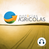 Bom dia Agro 26/04/24 - O que há de mais relevante na agricultura e no agronegócio