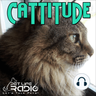 Cattitude - Episode 58 Halloween Safety Tips for Your Cats
