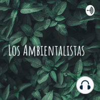 Lo que debes saber sobre Licenciamiento ambiental EP- Especial en conjunto con EIA S.A.S