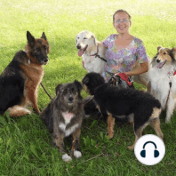 Podcast 112: Zestarzeć się z godnością, czyli O psie Bazylu, który jeździł rikszą