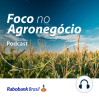 Chuvas impactam produção agrícola no RS