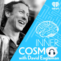 Ep58 "What do brains teach us about whether AI is creative?"