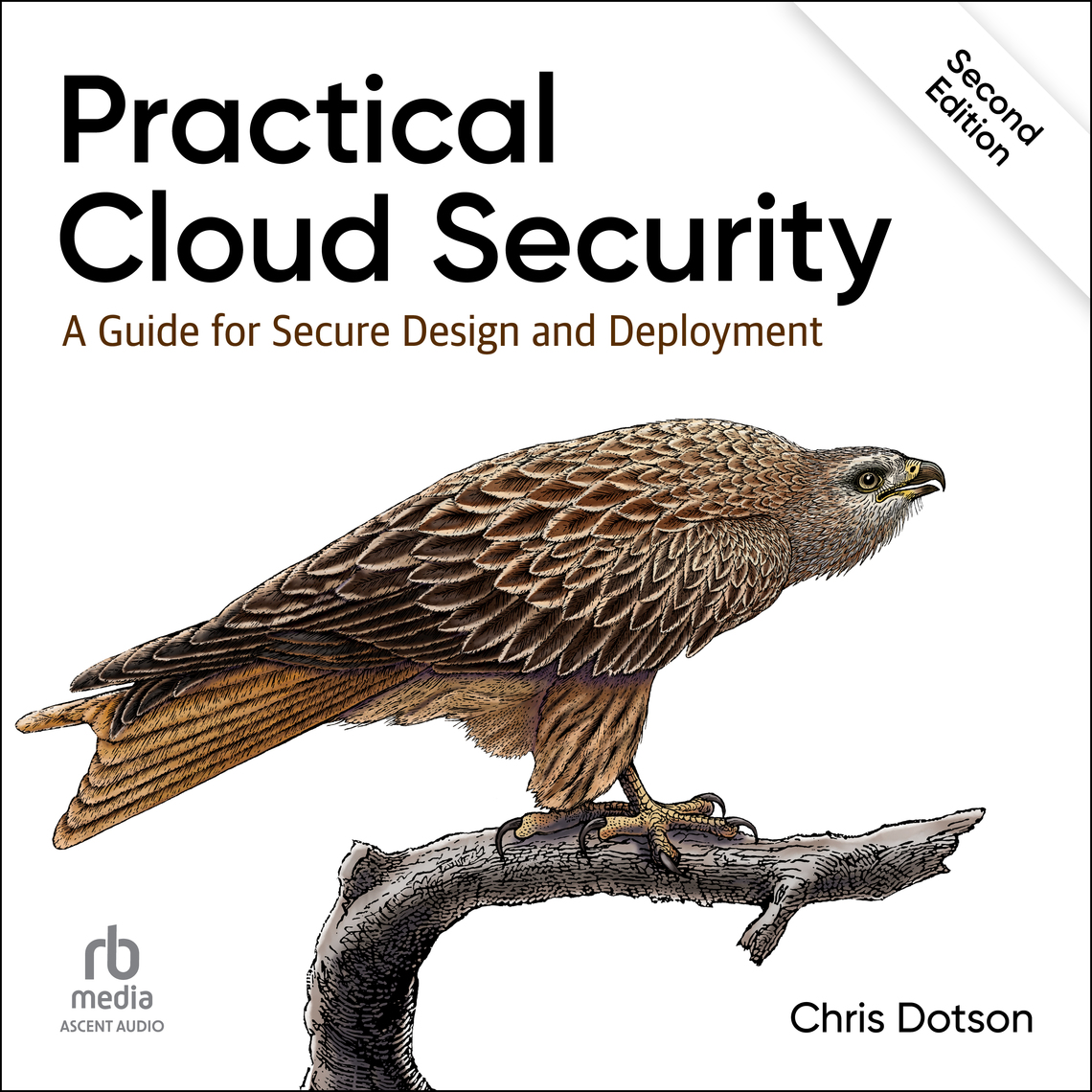 Practical Cloud Security by Chris Dotson (Audiobook) - Read free for 30 ...