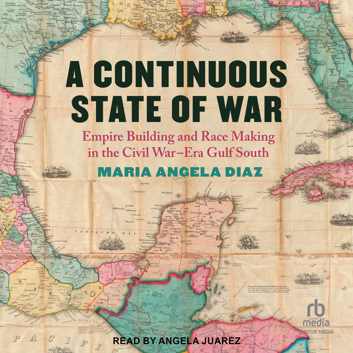 A Continuous State of War by Maria Angela Diaz (Audiobook) - Read free ...
