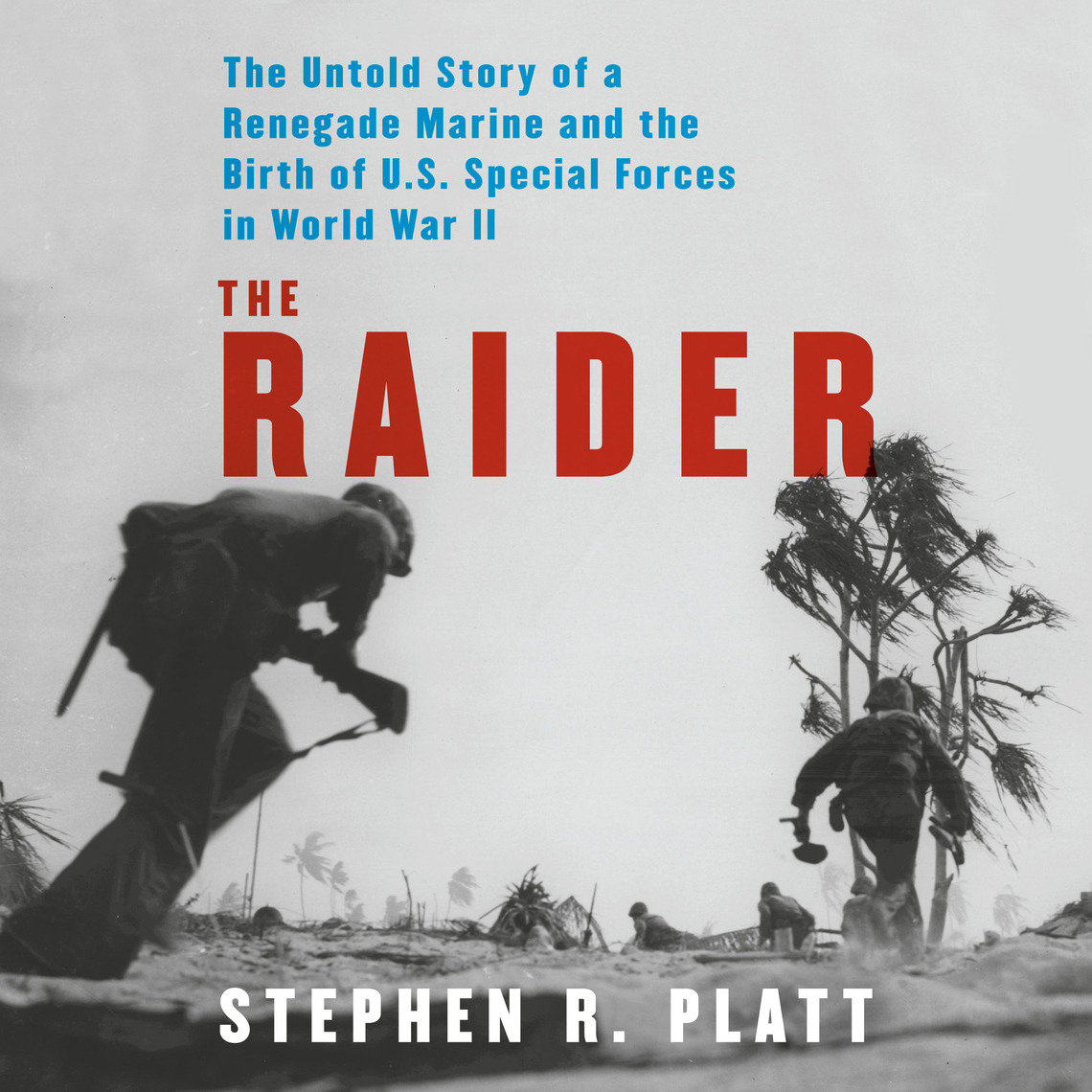 The Raider by Stephen R. Platt (Audiobook) - Read free for 30 days