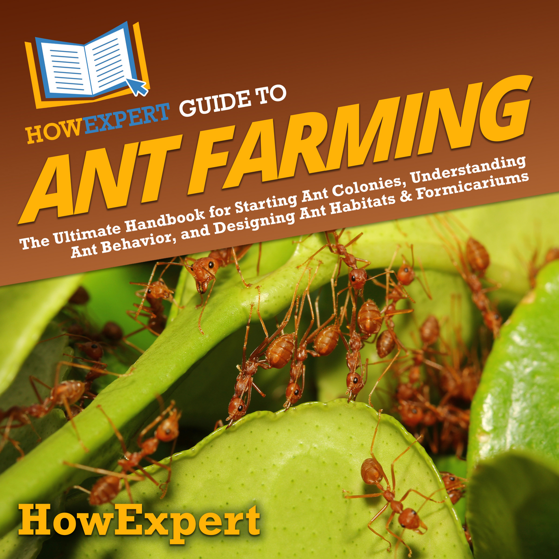HowExpert Guide to Ant Farming by HowExpert (Audiobook) - Read free for ...