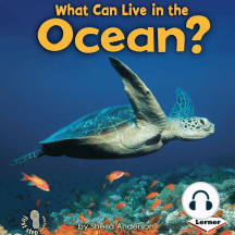 What Can Live in the Ocean?