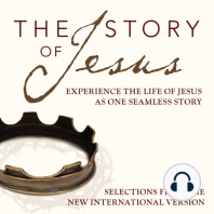 Story Audio Bible, The - New International Version, NIV