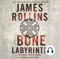 The Bone Labyrinth