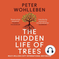The Hidden Life of Trees