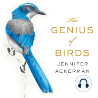 The Genius of Birds