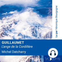 Guillaumet, l'Ange de la Cordillière