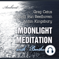 Moonlight Meditation with Beethoven