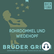 Rohrdommel und Wiedehopf