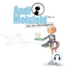 Andi Meisfeld, Folge 3: Andi Meisfeld und die Albtraumparty