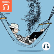 30 Millionen Lieder: Wer verdient mit Streaming-Dienste wie Spotify überhaupt Geld? Und wie hat das die Musik verändert?