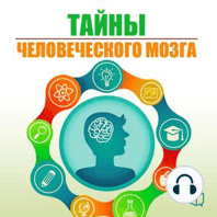 The Secrets of the Human Brain [Russian Edition]