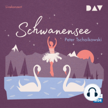 Schwanensee (Hörspiel Live)