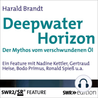 Deepwater Horizon - Der Mythos vom versunkenen Öl