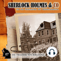 Sherlock Holmes & Co, Folge 7