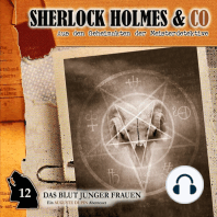 Sherlock Holmes & Co, Folge 12