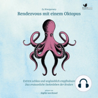 Rendezvous mit einem Oktopus: Extrem schlau und unglaublich empfindsam - das erstaunliche Seelenleben der Kraken