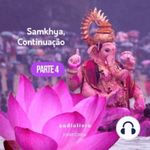 Parte 4 - Samkhya, Continuação
