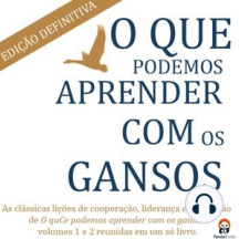 O Que Podemos Aprender Com os Gansos