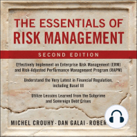 The Essentials of Risk Management: Second Edition