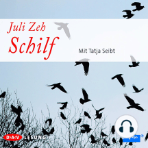 Schilf