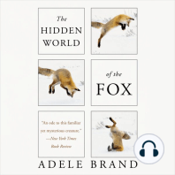 The Hidden World of the Fox