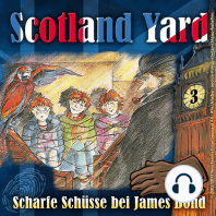 Scotland Yard, Folge 3