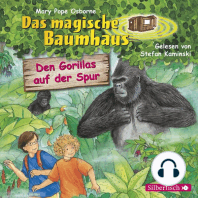 Den Gorillas auf der Spur