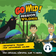 Gefiederte Tänzer / Der unfassbare Kolibri (Das Original-Hörspiel zur TV-Serie)