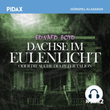 Dachse Im Eulenlicht Oder Die Suche Des Peter Talion