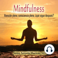 Mindfulness: Atención plena, consciencia plena. ¿Qué sigue después?