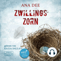 Zwillingszorn - Privatdetektiv Thomas Fields, Band 2