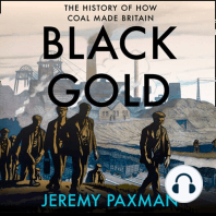 Black Gold: The History of How Coal Made Britain