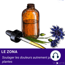 Zona