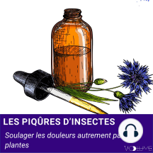 Piqûres d'insectes