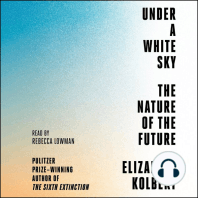 Under a White Sky