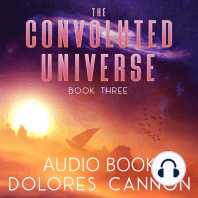 The Convoluted Universe, Book Three
