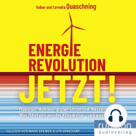 Energierevolution jetzt!: Mobilität, Wohnen, grüner Strom und Wasserstoff: Was führt uns aus der Klimakrise – und was nicht?