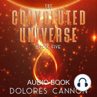 The Convoluted Universe, Book Five